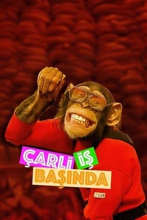 Charlie Çarli İş Başında