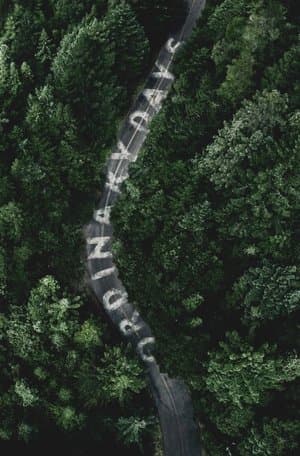 Ordinary Days Ordinary Days