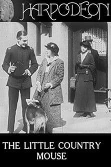 The Little Country Mouse The Little Country Mouse