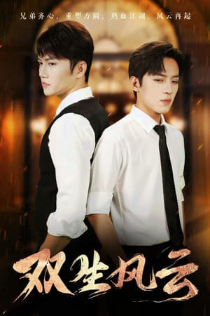 双生风云 双生风云