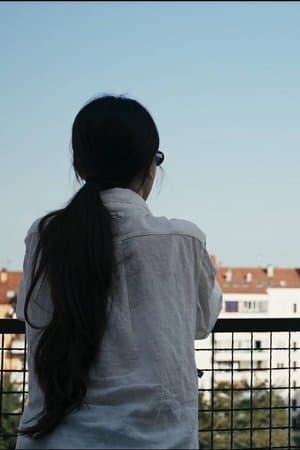 The Observer's Journal 관찰자의 일지