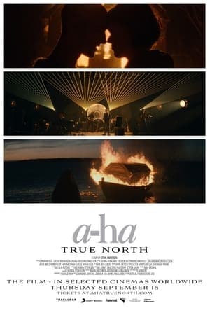 a-ha: True North a-ha: True North