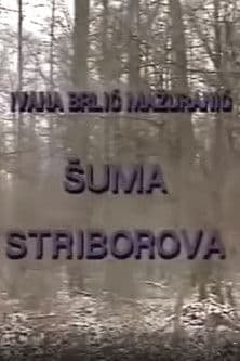 Stribor's Forest Šuma Striborova