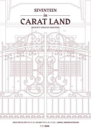 SEVENTEEN in CARAT LAND SEVENTEEN in CARAT LAND