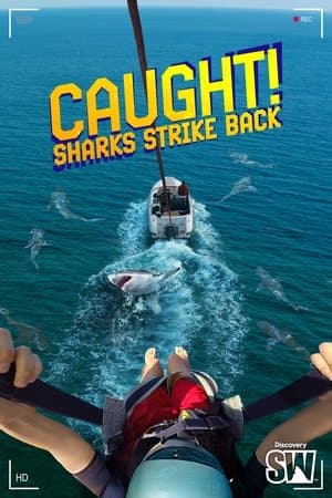 Caught! Sharks Strike Back Caught! Sharks Strike Back