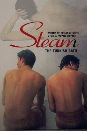 Steam: The Turkish Bath Hamam