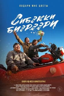 Сибэкки биэрээри