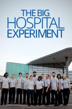 The Big Hospital Experiment The Big Hospital Experiment