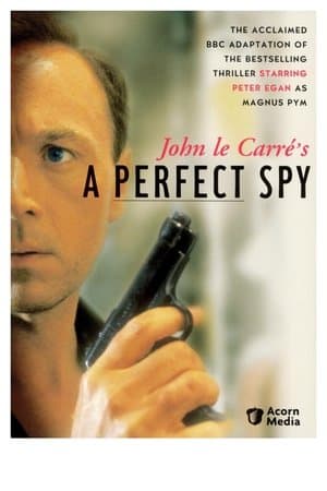 A Perfect Spy A Perfect Spy