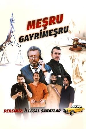 Meşru Gayrimeşru Meşru Gayrimeşru