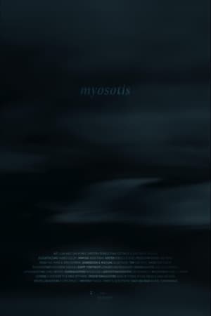 Myosotis