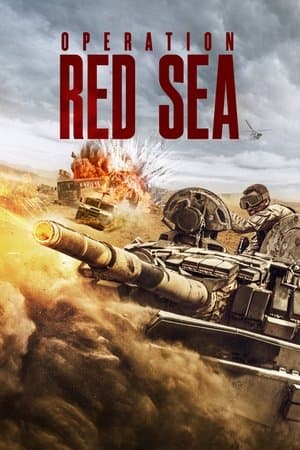 Operation Red Sea 红海行动