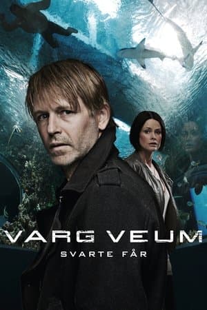 Varg Veum - Black Sheep Varg Veum - Svarte får