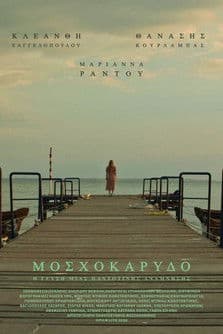 Nutmeg Μοσχοκάρυδο