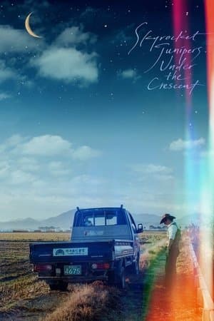 Skyrocket Junipers Under the Crescent 모르는 이야기