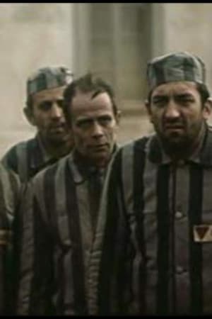 Manifesto for Freedom Manifest za slobodu