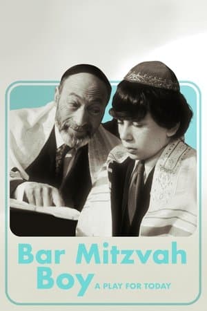 Bar Mitzvah Boy Bar Mitzvah Boy