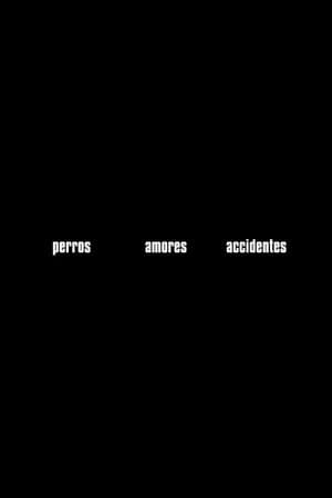 Perros, amores, accidentes Perros, amores, accidentes