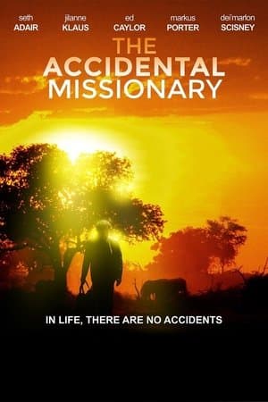 The Accidental Missionary The Accidental Missionary