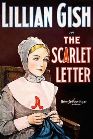The Scarlet Letter The Scarlet Letter