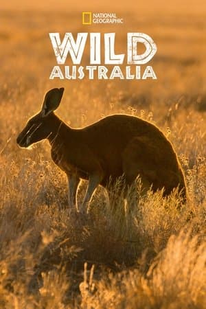 Wild Australia Wild Australia
