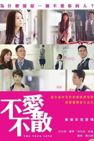 The True Love 不爱不散