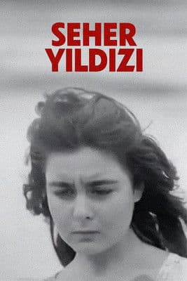 Seher Yıldızı Seher Yıldızı