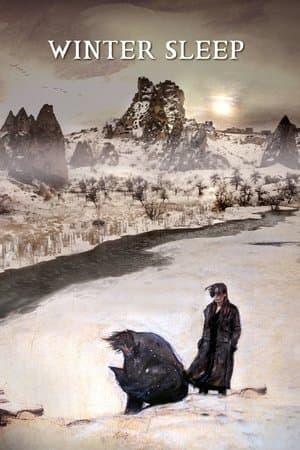 Winter Sleep Kış Uykusu