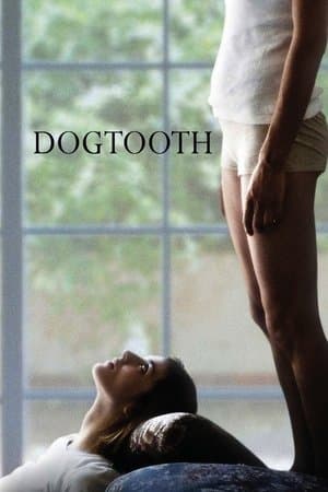 Dogtooth Κυνόδοντας