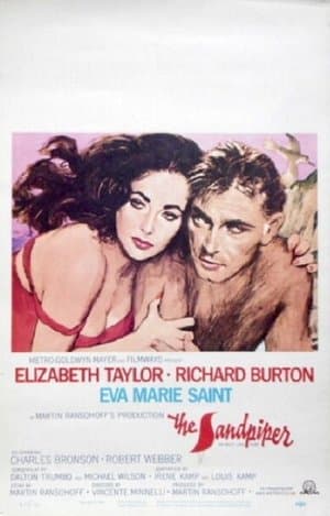 A Statue for 'The Sandpiper' A Statue for 'The Sandpiper'