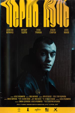 Black Dog Черно Куче