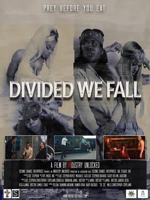 Divided We Fall Divided We Fall