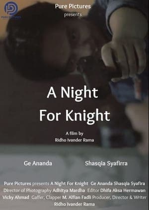 A Night For Knight