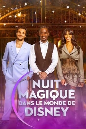 Magical Night in Disney World Nuit magique dans le monde de Disney