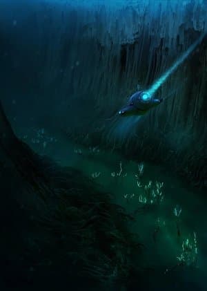 The Valley 더 밸리