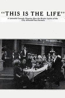 This Is the Life This Is the Life