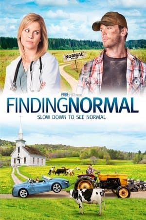 Finding Normal Finding Normal