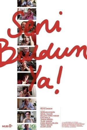 Hey There! Seni Buldum Ya!