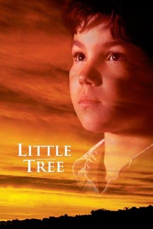 The Education of Little Tree The Education of Little Tree