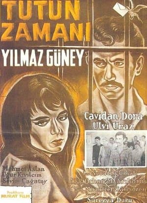 Tütün Zamanı Tütün Zamanı