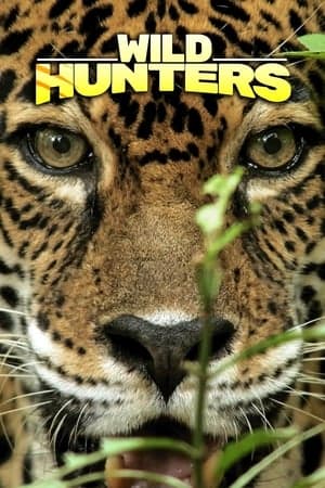 Wild Hunters