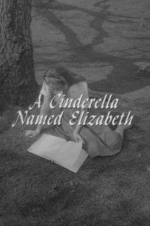 A Cinderella Named Elizabeth A Cinderella Named Elizabeth