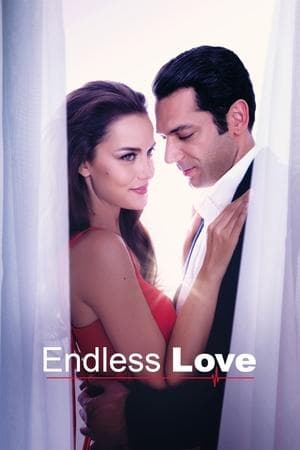Endless Love Sonsuz Aşk