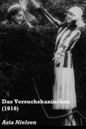 The Guinea-Pig Das Versuchskaninchen