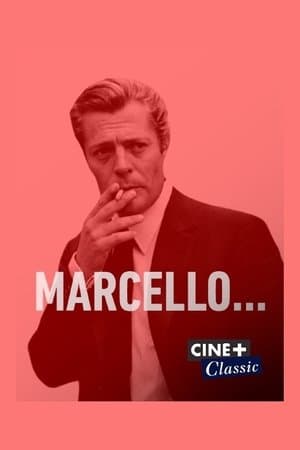 Marcello… Marcello…