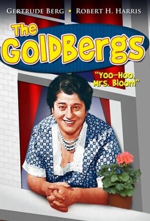 The Goldbergs The Goldbergs