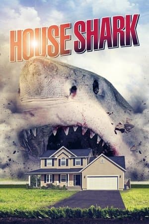 House Shark House Shark