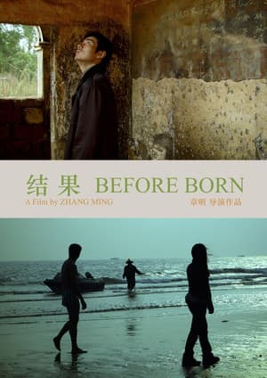 Before Born 结果
