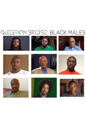Question Bridge: Black Males Question Bridge: Black Males