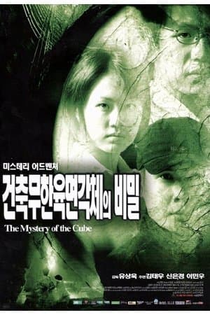 A Mystery of the Cube 건축무한육면각체의 비밀